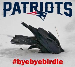 10469889_10206191134127795_988835859182295601_n-1